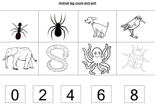Animal worksheets