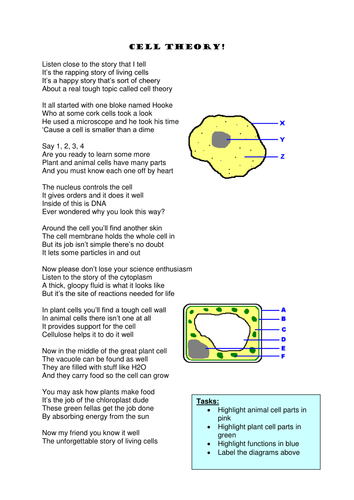 College Bunk Unik Poet Rap Cell Structure Rap Poem Memory Aid Teaching Resources