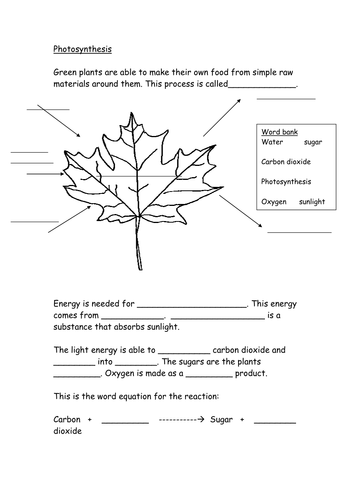 Photosynthesis Worksheet Teaching Resources