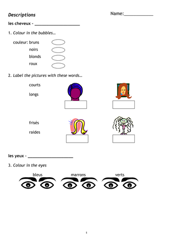 Physical Descriptions in French - Worksheet