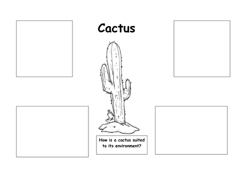 Cactus - suited to its environment.