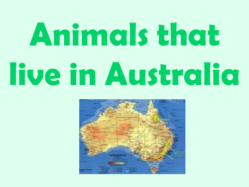 forstene Barcelona Eftermæle Australian animal facts powerpoint | Teaching Resources