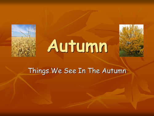 Autumn pictures