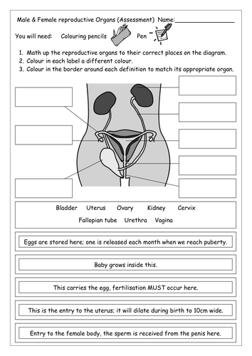Printables Puberty Worksheets growing up puberty by kmbradley teaching resources tes