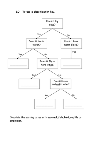 ks2 chart flow Tes keys   Classification   sueemc by  Teaching  Resources 3