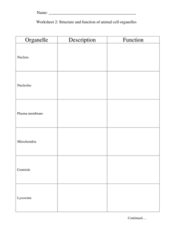 animal grade 6 worksheet cell Structure Biology AS Animal Function and Cell Level Quiz