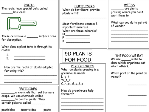 Plants for food revision