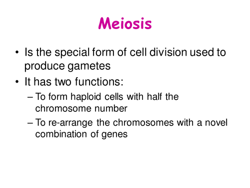 Meiosis Sex Determination And Variation Teaching Resources