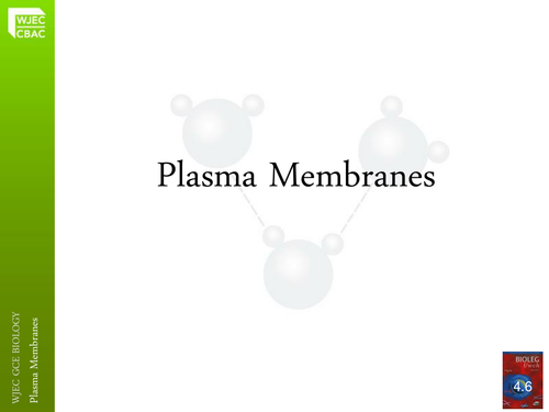 Plasma Membranes