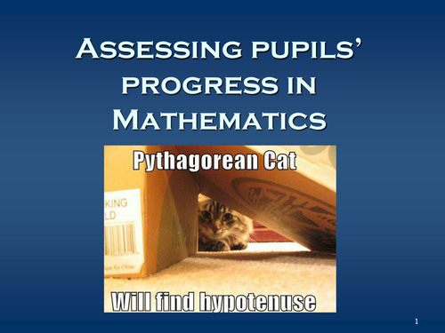 Pupil Assessment AFL in Mathematics