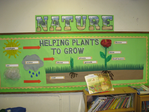 science display year 3 plants teaching resources