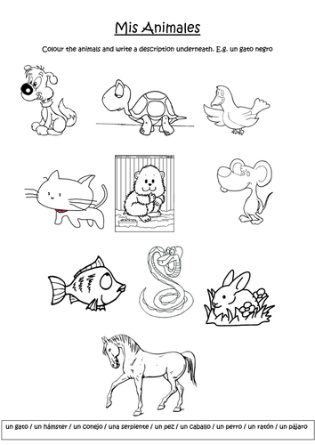 ones animals worksheet and young of their Spanish & Los sazarpey Adjectives Pets by Animales