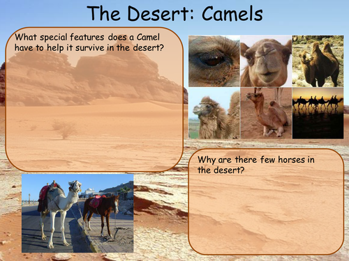 Environments: The Desert -Adaption and Human Impact