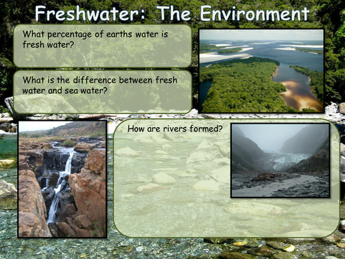 Environments: Freshwater streams and rivers