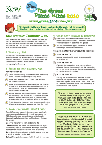 Biodiversity Thinking Walk for all ages 5-11