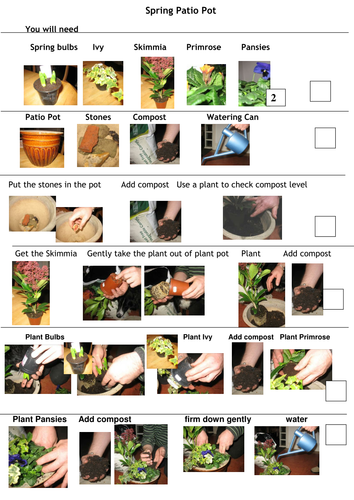 Planting a Spring Patio Pot by mainbanana - Teaching Resources - Tes