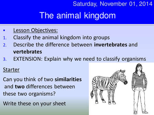 Animal Keys HT | Teaching Resources