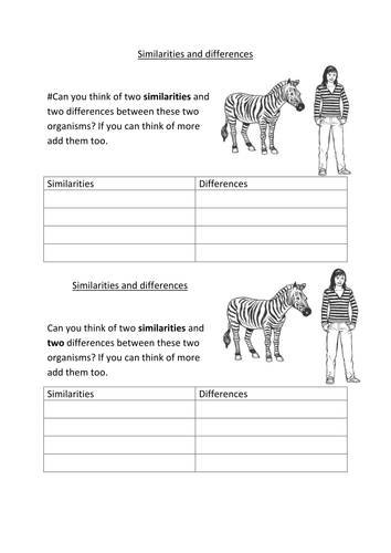 Differences between a zebra and woman sheet HT