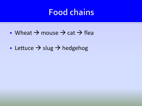 Food Chains and Webs ppt HT