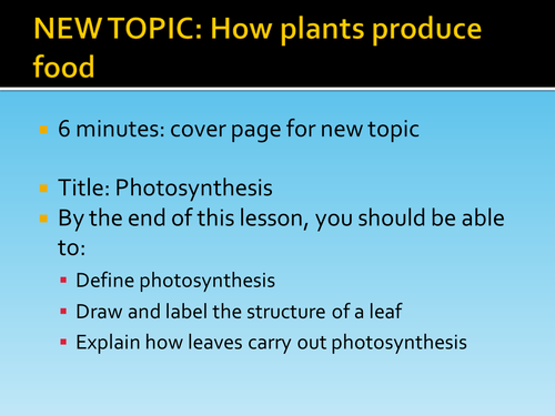 Leaf Structure + Photosynthesis HT