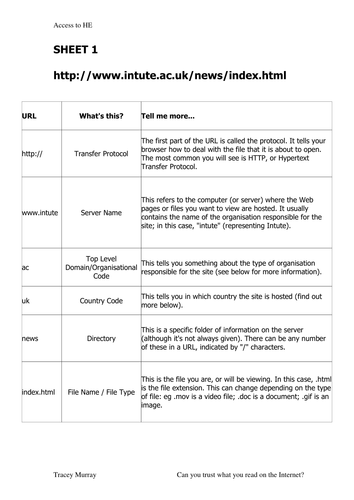 Trusting the Internet