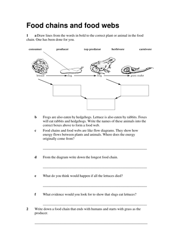 Food Chains and food webs q's HT | Teaching Resources