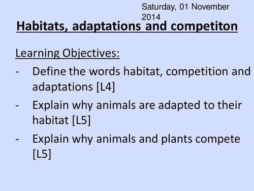 Habitat adaptations and competition HT