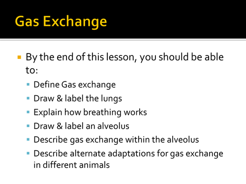 Gas exchange ppt HT
