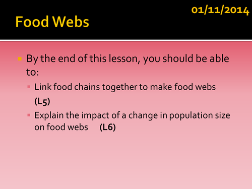 B2 L2 Food Webs HT