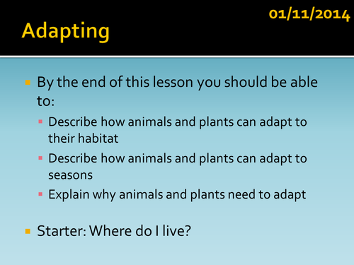 B2 L5 Adapting ppt HT