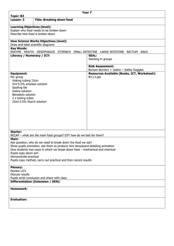 B3 L3 Breaking down food lesson plan HT