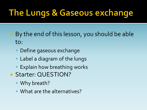 B3 L5 Lungs and breathing ppt HT