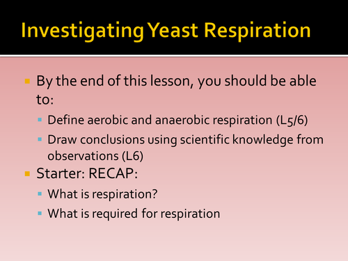 B3 L8 Investigating respiration of yeast ppt HT