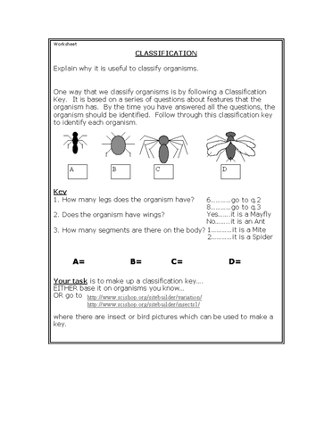 Classification worksheet HT