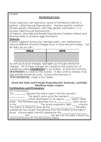 reproduction worksheet ht teaching resources