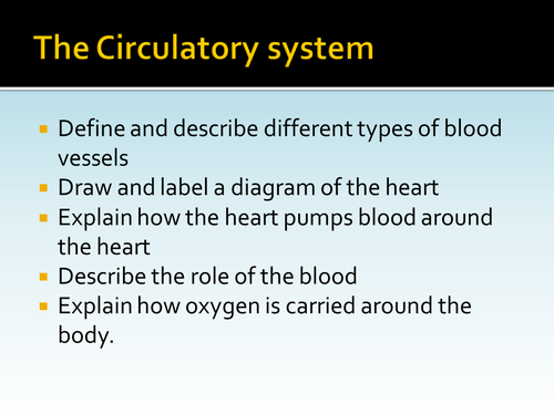 Circulatory system ppt handout HT