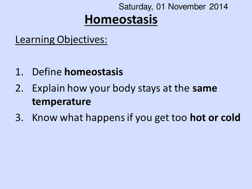 Homeostasis Simple HT