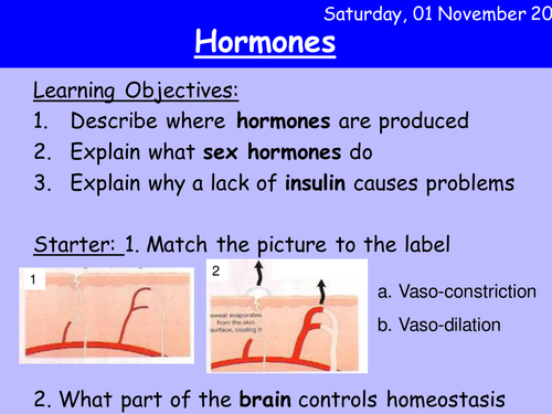 Hormones higher HT