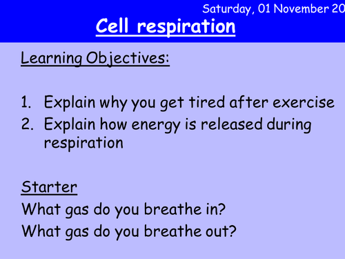 Cellular Respiration HT