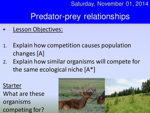 Predator prey curves HT