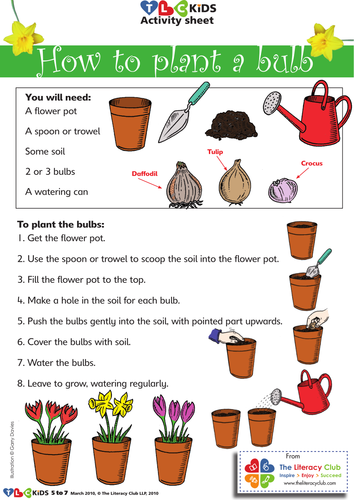 How to plant a bulb by TLChelen  Teaching Resources