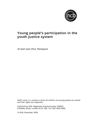 Participation in the Youth Justice System