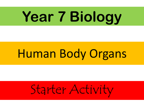 7A Human Body Organs Starter