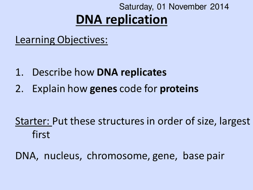 DNA Replication ppt HT