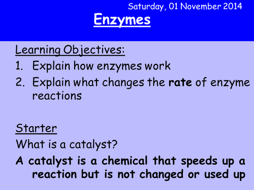 Enzymes overview HT