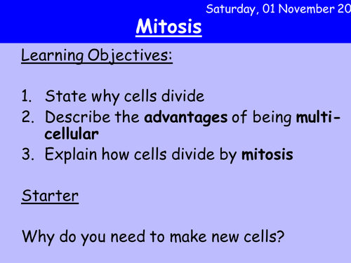 Mitosis HT