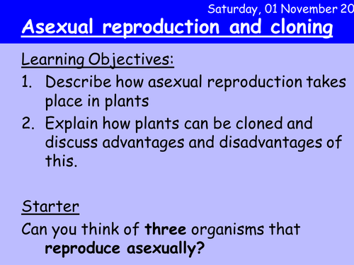 Asexual cloning techniques in plants HT
