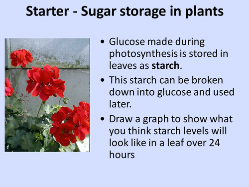 Water salts and minerals ppt Ht