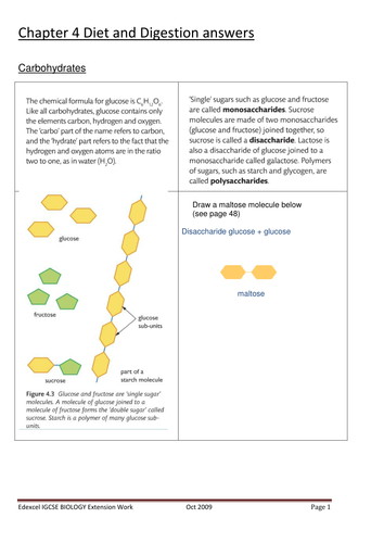 Chemistry Of Carbohydrates Worksheet Answers - Promotiontablecovers