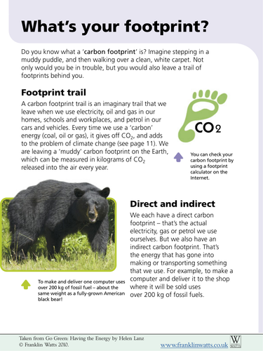 carbon footprint in essay